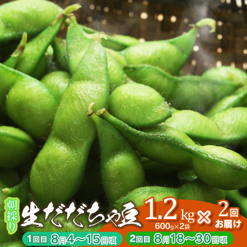 【ふるさと納税】【令和7年産先行予約】鶴岡市特産　朝採りだだちゃ豆　1.2kg（600g×2袋）×2回　旬2回お届け 8/4～15頃・8/18～30頃　新鮮 鮮度保持袋 チャックつき大袋 自家採種