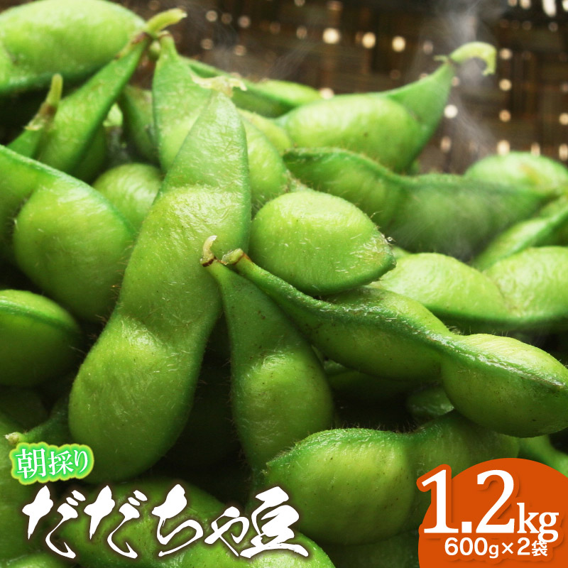 【ふるさと納税】【令和8年産先行予約】 鶴岡市特産　朝採りだだちゃ豆（枝豆） 1.2kg（600g×2袋）【選べる発送週】8/3頃～お届け　鮮度保持袋 チャックつき大袋 自家採種 朝採り 新鮮