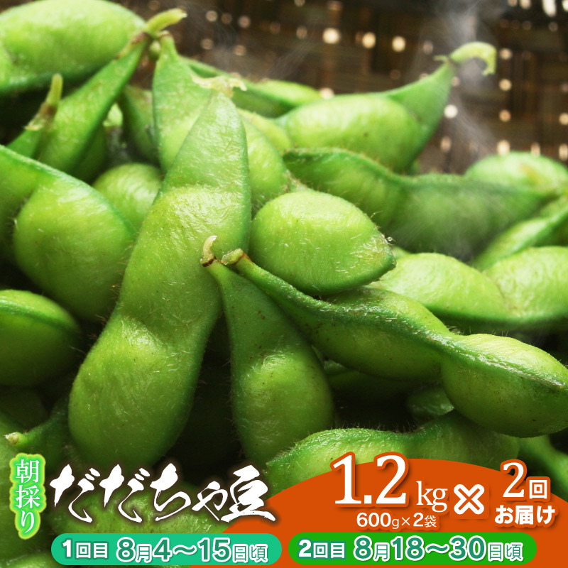 【ふるさと納税】【令和8年産先行予約】鶴岡市特産 枝豆 朝採りだだちゃ豆 1.2kg(600g×2袋)×2回 旬2回お届け(8月上旬頃・8月下旬頃) 新鮮 鮮度保持袋 チャックつき大袋 自家採種|山形県鶴岡市