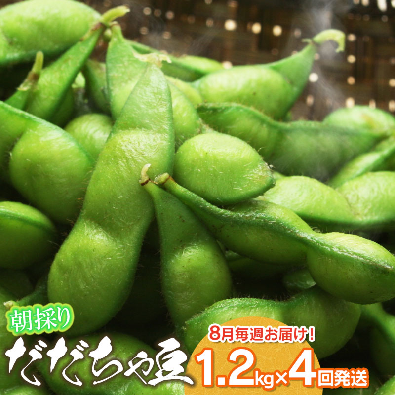 【ふるさと納税】【令和8年産先行予約】鶴岡市特産 朝採りだだちゃ豆 1.2kg×4回 8月中毎週お届け|山形県鶴岡市