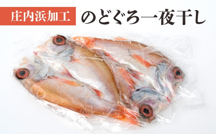 【ふるさと納税】A01-406 庄内浜加工のどぐろ一夜干し2枚セット| ふるさと 納税 山形 山形県 山形県鶴岡市 鶴岡市 食品 支援品 鶴岡 支援 特産品 魚介 魚介類 返礼品 お取り寄せ 魚 ひもの 干物 一夜干し のどぐろ ノドグロ 高級魚 海産物 おいしい 海の幸 魚干物 加工品