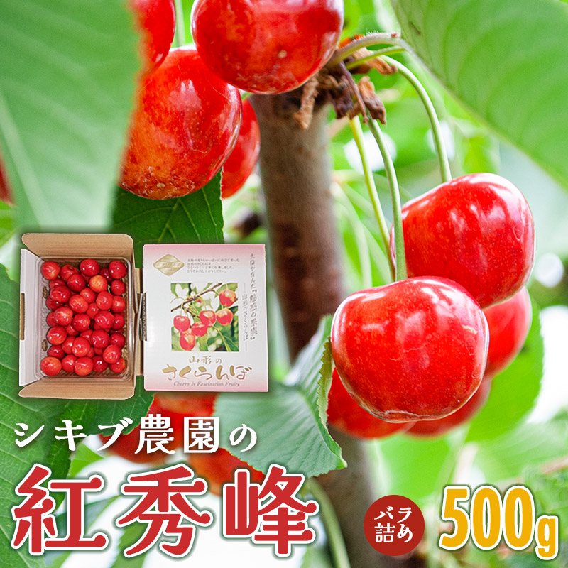 【ふるさと納税】【令和7年産先行予約】さくらんぼ 紅秀峰 バラ詰め（Lサイズ） 500g 鶴岡市産 山形県　K-732