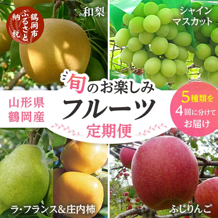 【ふるさと納税】【令和7年産先行予約】【定期便】鶴岡産旬のお楽しみフルーツセット(果物)  シャインマスカット 和梨 ラ・フランス 庄内柿 りんご(計4回、5種) | 山形県 鶴岡市 山形 くだもの 幸水 豊水 柿 フルーツ定期便 自宅用 家庭用