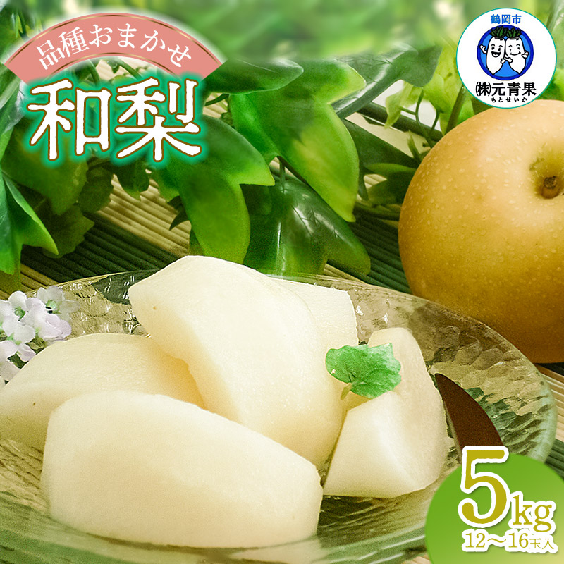 【ふるさと納税】【令和7年産先行予約】和梨 品種おまかせ 秀品 5kg(12～16玉入) 幸水・南水・あきづき などの品種からいずれか1種をお届け！ 山形県鶴岡市産　元青果 なし