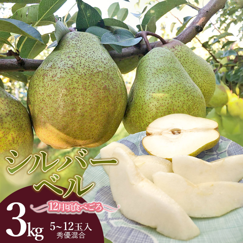 【ふるさと納税】【令和7年産 先行予約】 シルバーベル（洋梨） 3kg（5～12玉入） 秀優混合　庄内産直センター