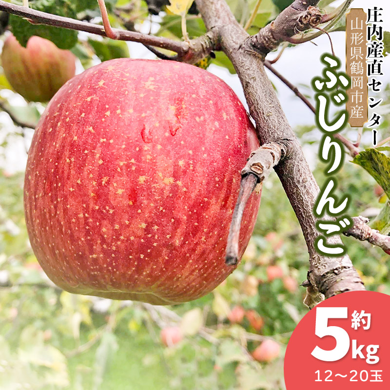【ふるさと納税】【令和7年産 先行予約】山形県鶴岡市産 ふじりんご 約5kg入箱（12～20玉）　農事組合法人 産直センター
