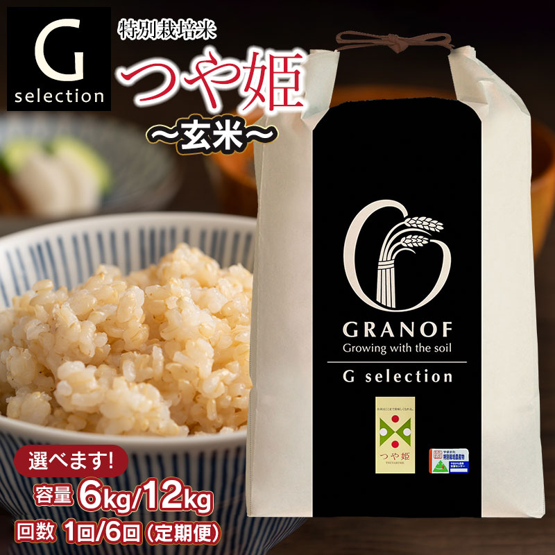 【ふるさと納税】【令和7年産先行予約】Gセレクション 特別栽培米 つや姫【玄米】 山形県鶴岡産 容量（6kg・12kg）と発送回数（1回・6回）選べる　6ヶ月定期便（毎月1回中旬発送）