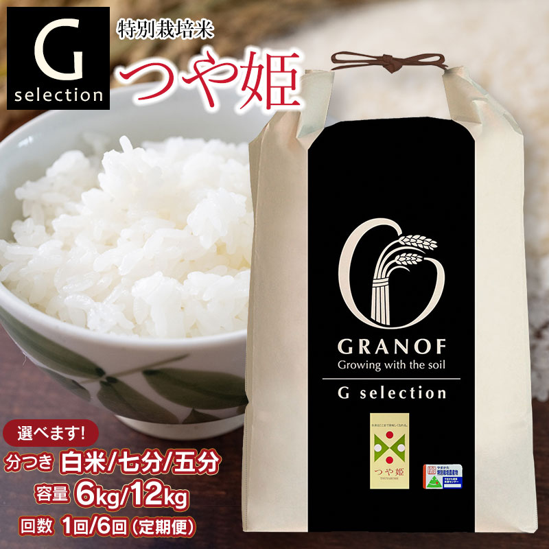 【ふるさと納税】【令和7年産先行予約】Gセレクション 特別栽培米 つや姫 山形県鶴岡産 つき加減(精米加減 5分つき・7分つき・白米）と容量（6kg or 12kg）・発送回数（1回・6回）選べる　6ヶ月定期便（毎月1回中旬発送）