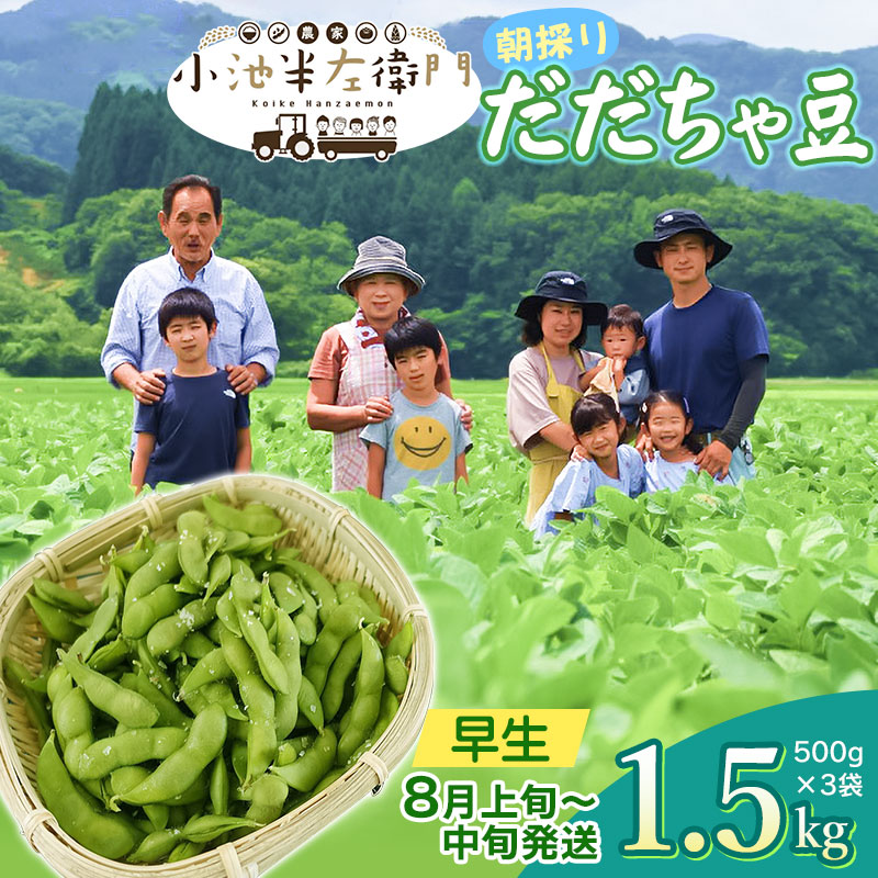 【ふるさと納税】【令和7年産先行予約】朝採りだだちゃ豆 早生1.5kg (500g×3袋)　枝豆 小池半左衛門　山形県鶴岡市