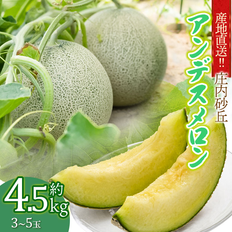 【ふるさと納税】【令和7年産先行予約】 産地直送!! 庄内砂丘アンデスメロン 約4.5kg  (3玉～5玉)  K-733 | 山形県 鶴岡市返礼品 フルーツ 果物 くだもの お取り寄せグルメ 青肉 めろん 特産品 名産品