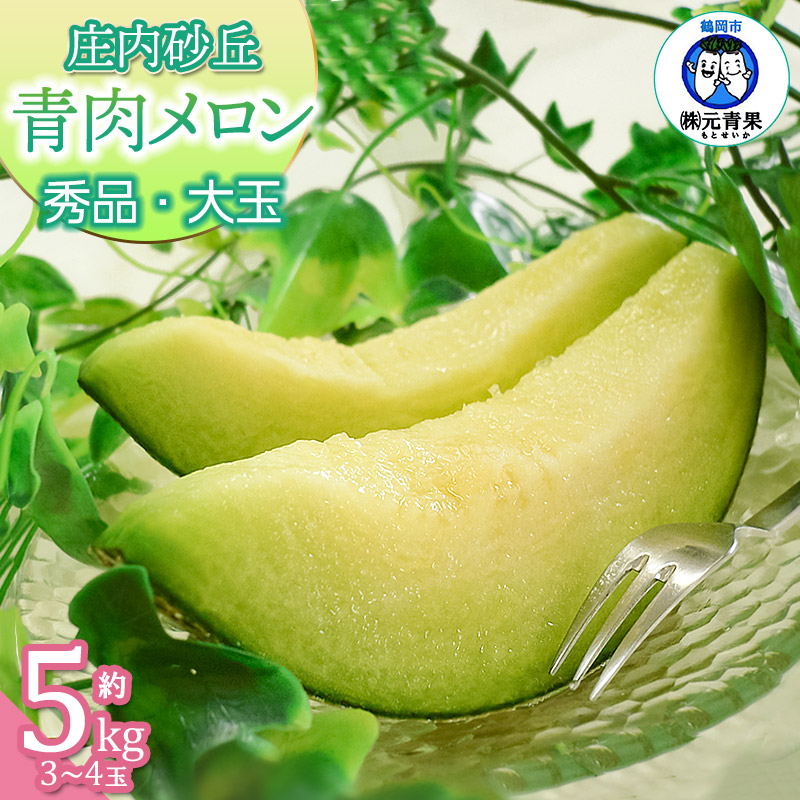 【ふるさと納税】【令和8年産先行予約】庄内砂丘青肉メロン（品種おまかせ） 秀品 大玉 約5kg (3～4玉) 山形県鶴岡市産　元青果