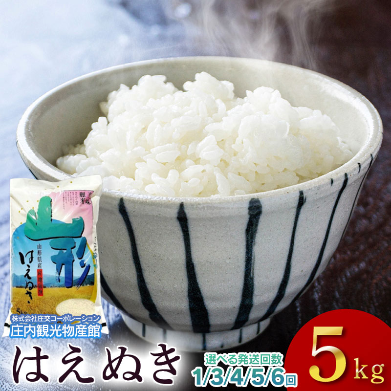 【ふるさと納税】【選べる定期便】令和7年産山形県産 はえぬき 精米5kg（1回・3～6ヶ月）　庄内観光物産館｜山形県鶴岡市