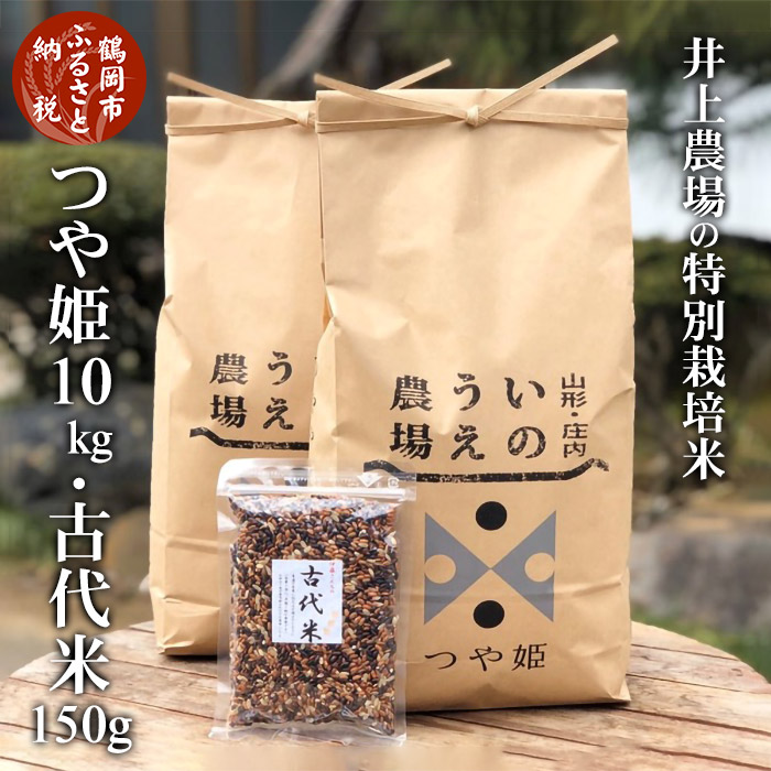 大注目 ふるさと納税 山形県庄内産 令和2年産 井上農場の特別栽培米 つや姫 10kg 古代米150g 大流行中 Www Lexusoman Com 大注目 ふるさと納税 山形県庄内産 令和2年産 井上農場の特別栽培米 つや姫 10kg 古代米150g 大流行中 Www Lexusoman Com