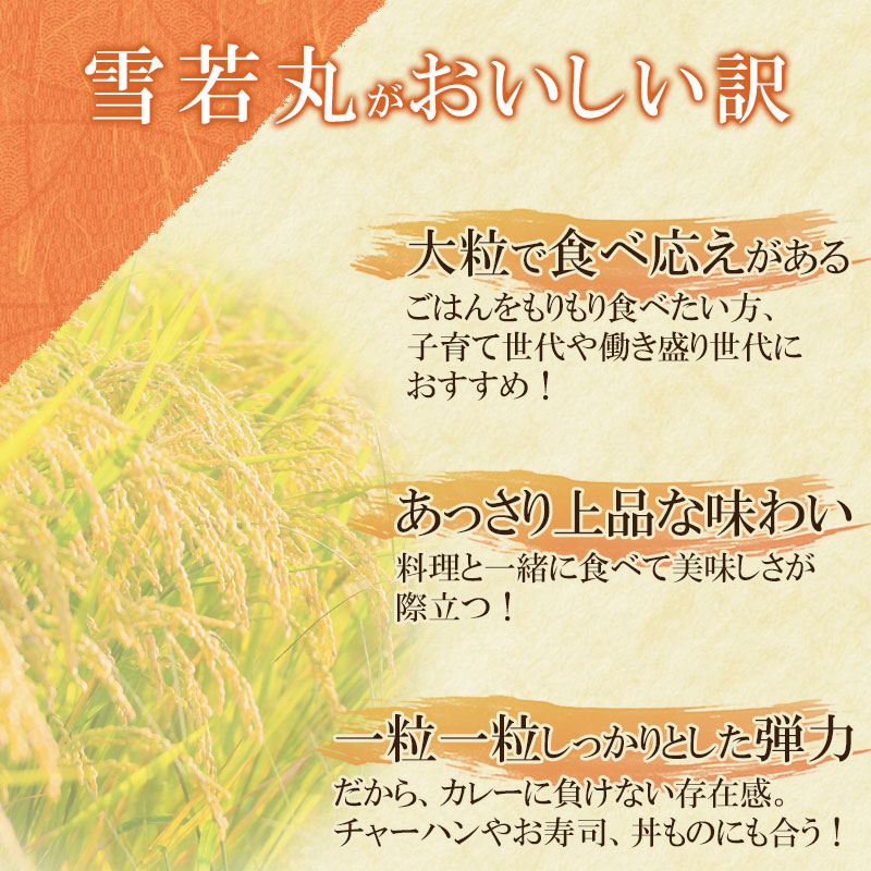 ふるさと納税 限定 180g 山形県 雪若丸 レンチンご飯 24p 納税 庄内産 ふるさと 災害備蓄用 返礼品 パックライス パックご飯 鶴岡市 パックごはん