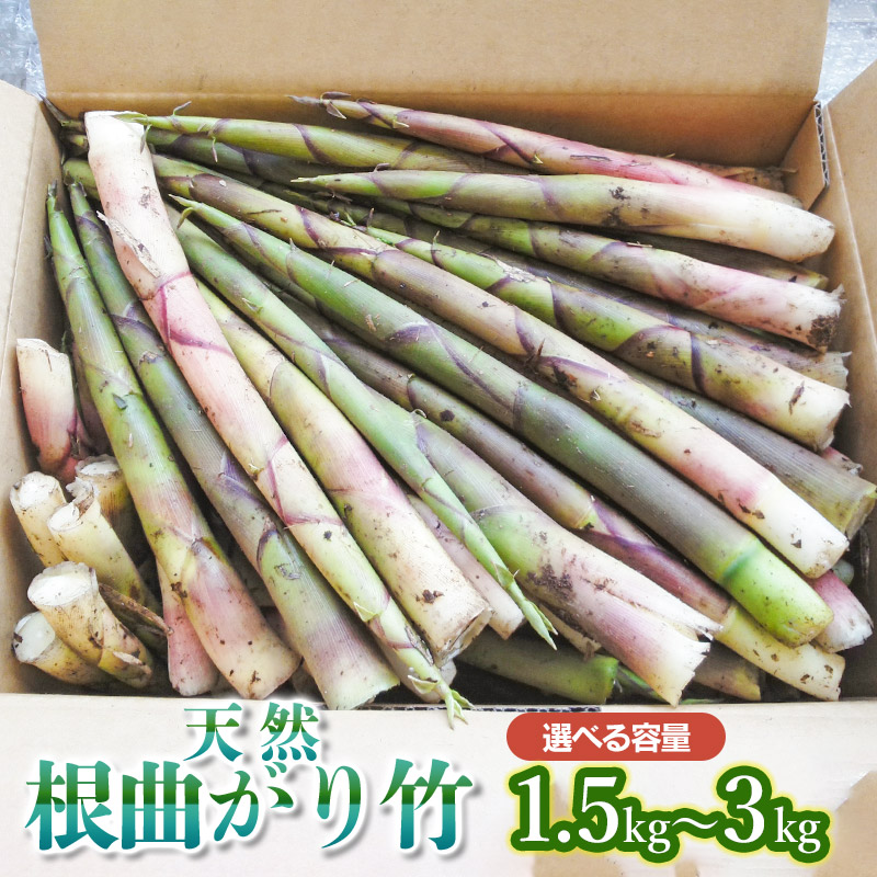 根曲竹「平　篭」【 送料確認用出品 】 根曲竹「平 篭」【 送料確認用出品 】の通販はau PAY マーケット