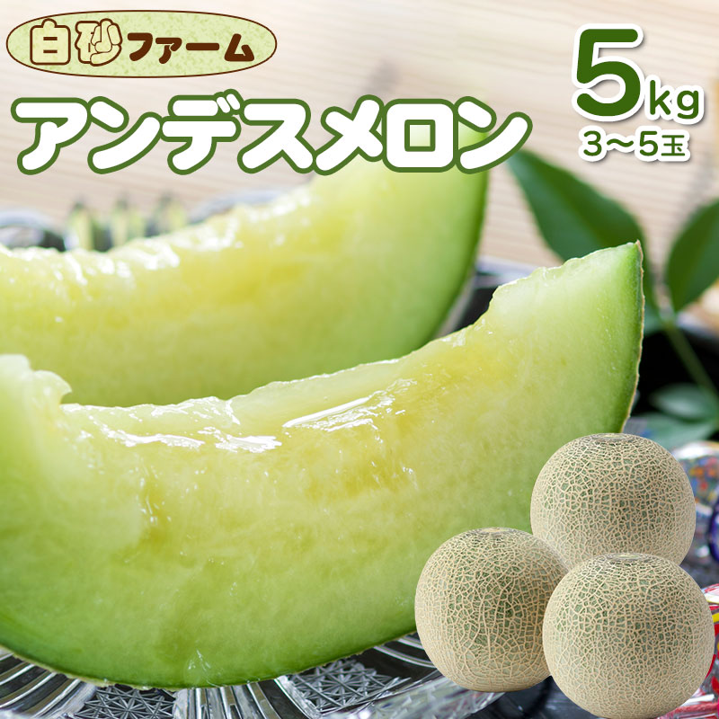 【ふるさと納税】【令和7年産先行予約】アンデスメロン 5kg（3～5玉）　白砂ファーム