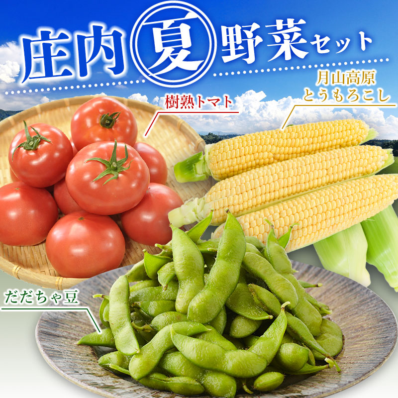 【ふるさと納税】【令和7年産先行予約】庄内夏野菜セット　だだちゃ豆（約1kg）＆月山高原とうもろこし（約250g×5本）＆樹熟トマト(2～3玉入×3P）