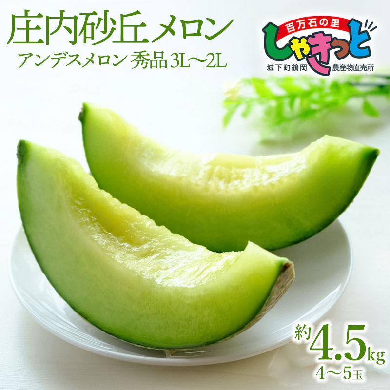 【ふるさと納税】【令和7年産先行予約】庄内砂丘 アンデスメロン 秀品 3L～2L 約4.5kg（4～5玉）青肉系 2025年産 K-739