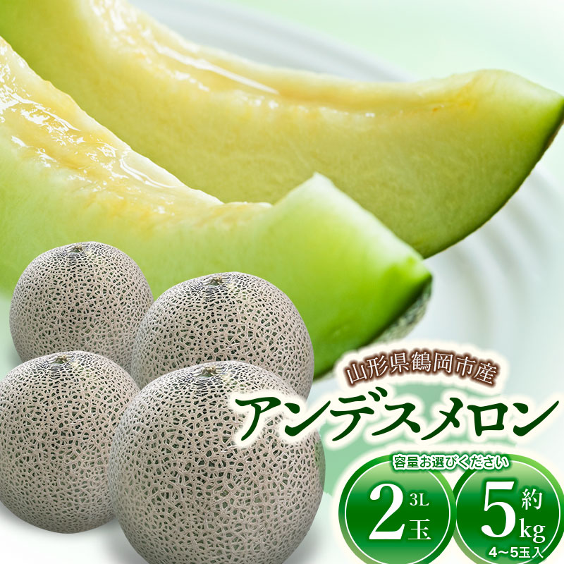 【ふるさと納税】【令和7年産先行予約】アンデスメロン 1箱 容量お選びください［3Lサイズ・2玉入］［約5kg（4～5玉）］| 山形県 鶴岡市 返礼品 フルーツ 果物 くだもの お取り寄せグルメ 青肉 めろん 庄内砂丘