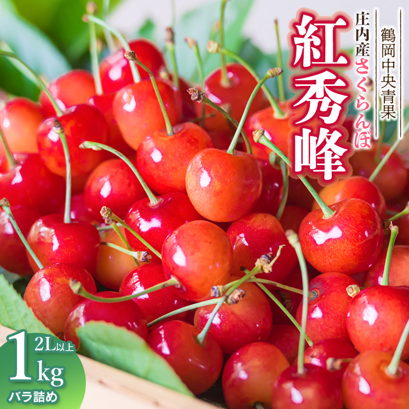 【ふるさと納税】令和7年産 山形県庄内産 さくらんぼ 紅秀峰 バラ詰め1kg　2Lサイズ以上