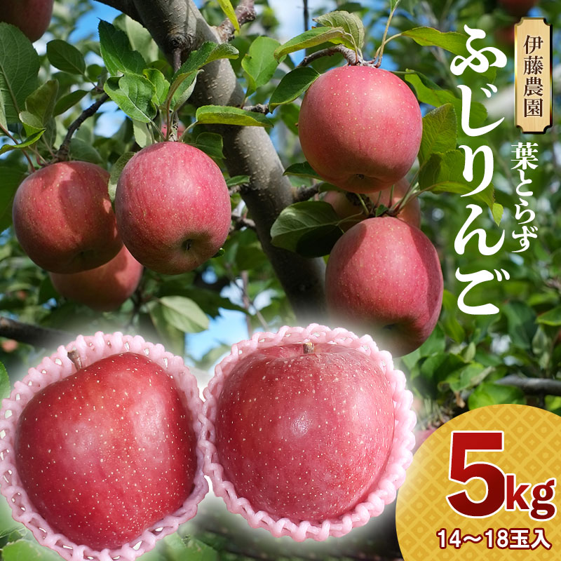 【ふるさと納税】【令和7年産先行予約】葉とらずリンゴ「ふじりんご」 5kg（14～18玉）山形県鶴岡市産
