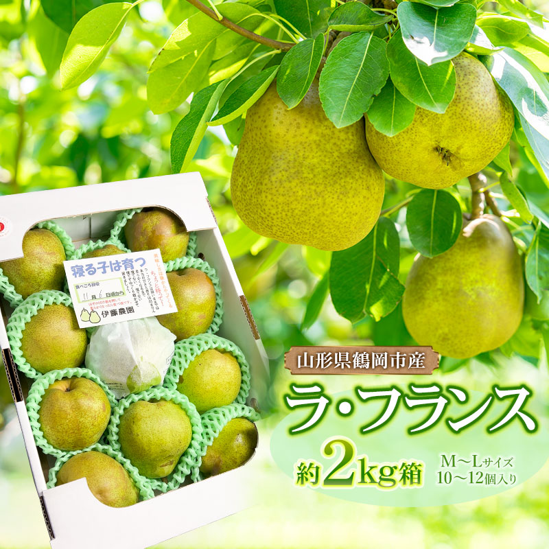 【ふるさと納税】【令和7年産先行予約】ラ・フランス 2kg箱 サイズM～L（10～12個入）　洋梨 ラフランス