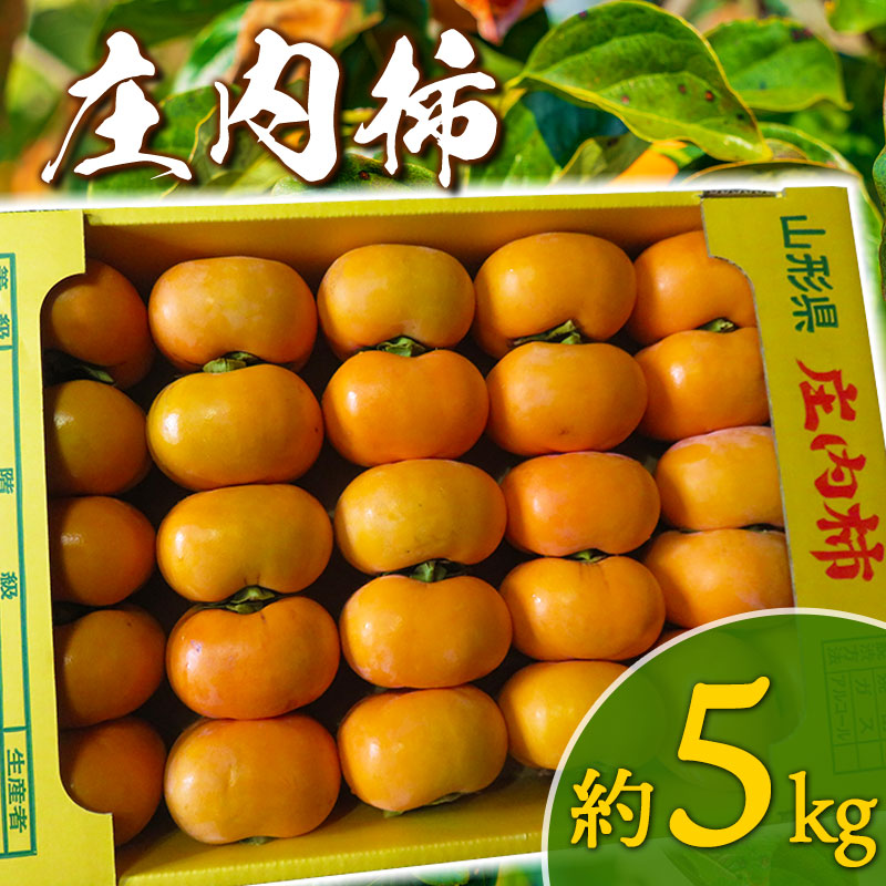 【ふるさと納税】【令和7年産先行予約】庄内柿 5kg（Mサイズ以上） 平核無柿 | 山形県 鶴岡市 山形 返礼品 楽天ふるさと 納税 フルーツ 果物 くだもの かき カキ お取り寄せ 自宅用 家庭用 取り寄せ 国産 果実 予約 ふるーつ