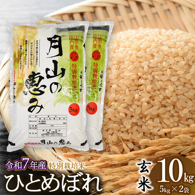 【ふるさと納税】令和7年産 特別栽培米 ひとめぼれ 【玄米】 10kg (5kg×2袋) 2025年産 | 山形県 鶴岡市 ブランド米 お取り寄せ ご当地 お米 おこめ 特栽 コメ 単一米 10キロ