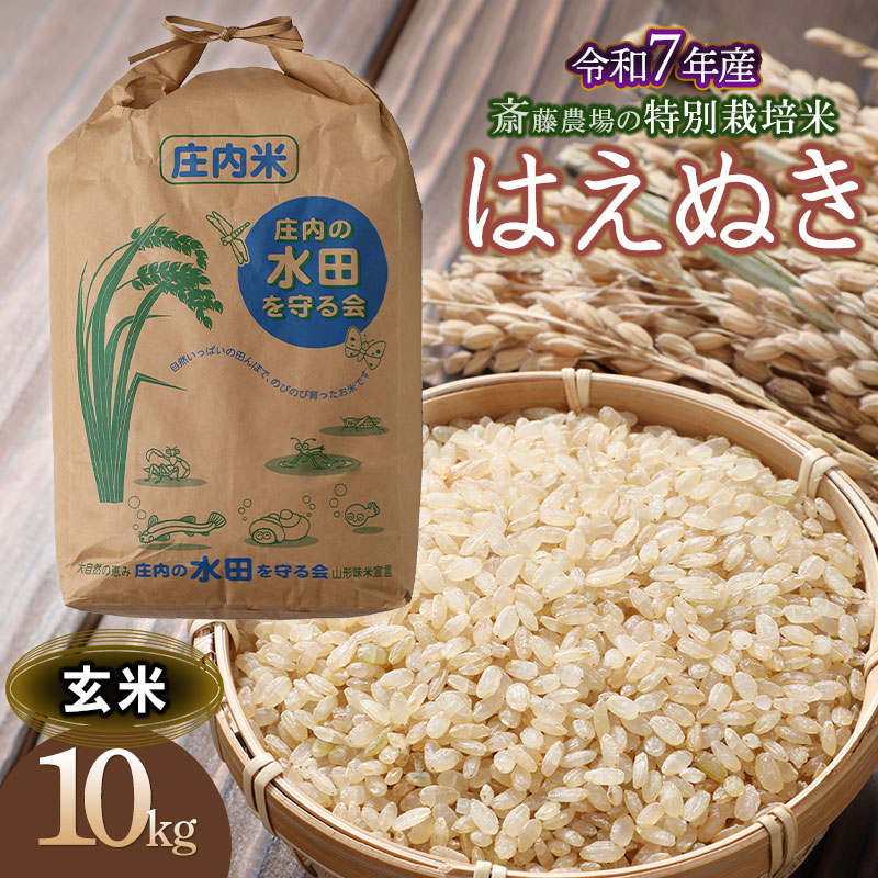 【ふるさと納税】令和7年産斎藤農場の特別栽培米 はえぬき玄米 10kg（10kg×1） [K-7114]
