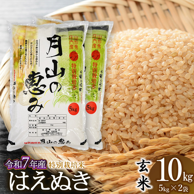 【希少】ひとめぼれ 10kg 特別栽培米 ひとめぼれ 10kg 山形 令和5年 特別栽培米