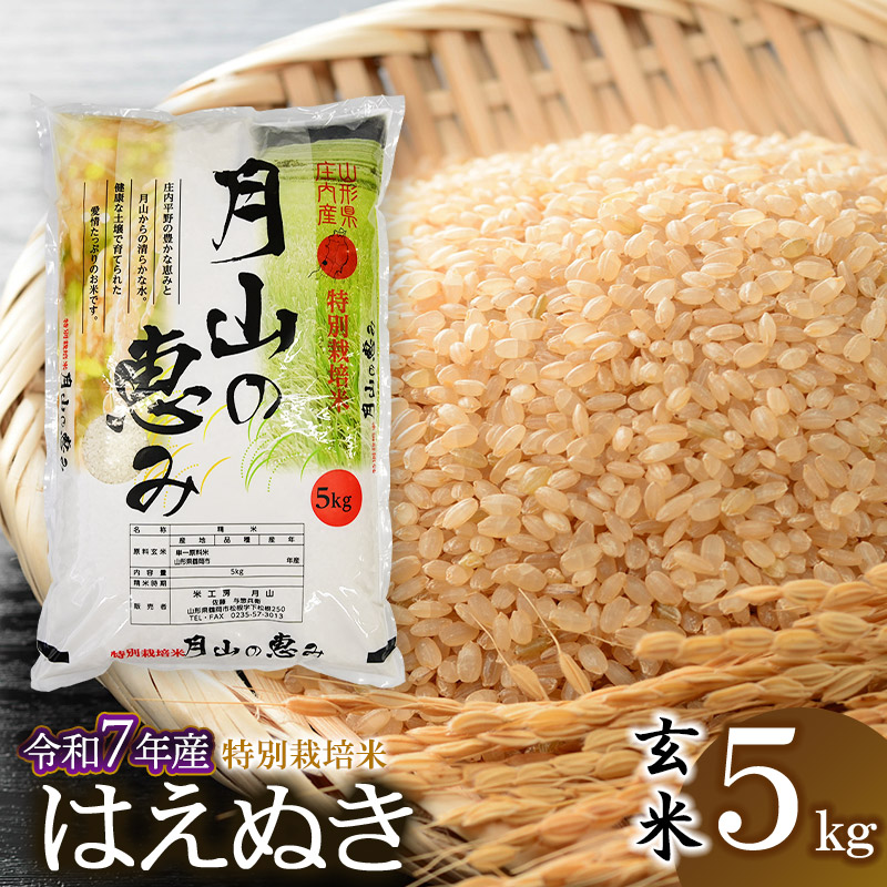 【ふるさと納税】 【令和7年産先行予約】 特別栽培米 はえぬき 玄米 5kg（5kg×1袋） 2025年 | 山形県 鶴岡市 ブランド米 お取り寄せ お米 おこめ 特栽 コメ5キロ こめ 美味しい 鶴岡産 単一原料米