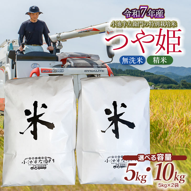 【ふるさと納税】令和7年産小池半左衛門のお米 特別栽培米 つや姫 【選べる 容量・精米種類】5kg・10kg　精米(白米)・無洗米　山形県鶴岡市産