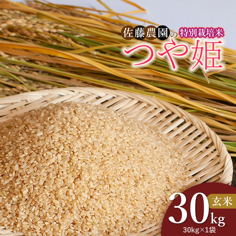 【ふるさと納税】【令和8年産先行予約】特別栽培米 つや姫 玄米 30kg（30kg&times;1袋） 山形県鶴岡市産 佐藤農園｜山形県鶴岡市