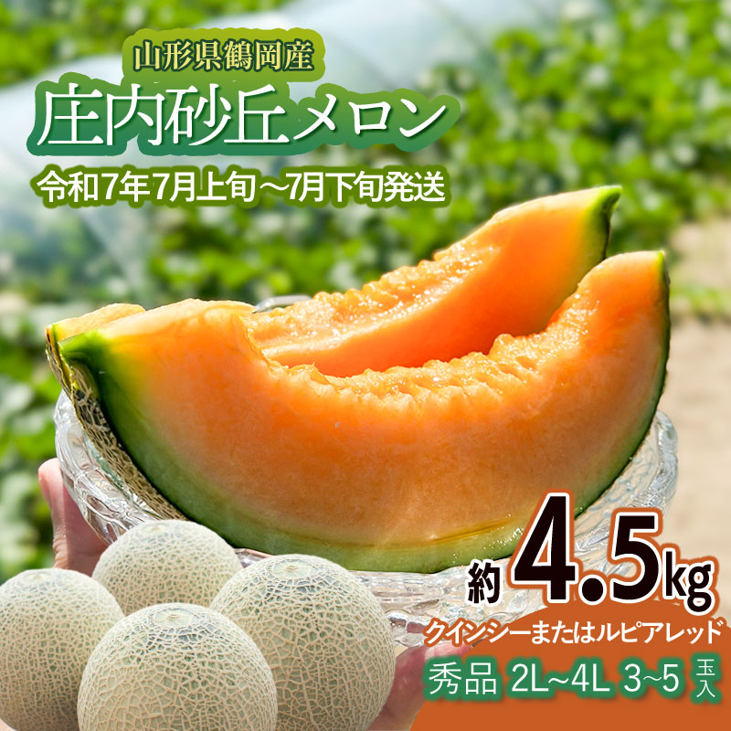 【ふるさと納税】【令和7年産先行予約】 庄内砂丘メロン（赤肉）約4.5kg 2L～4L 【秀品】 3玉～５玉入 【令和7年7月上旬～7月下旬頃発送予定】山形県鶴岡産 紅花メロン 丸果庄内青果
