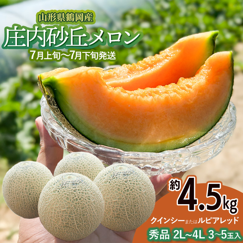 【ふるさと納税】【令和8年産先行予約】 庄内砂丘メロン（赤肉）約4.5kg 2L～4L 【秀品】 3～5玉入 【7月上旬～下旬頃発送予定】山形県鶴岡産 紅花メロン 丸果庄内青果
