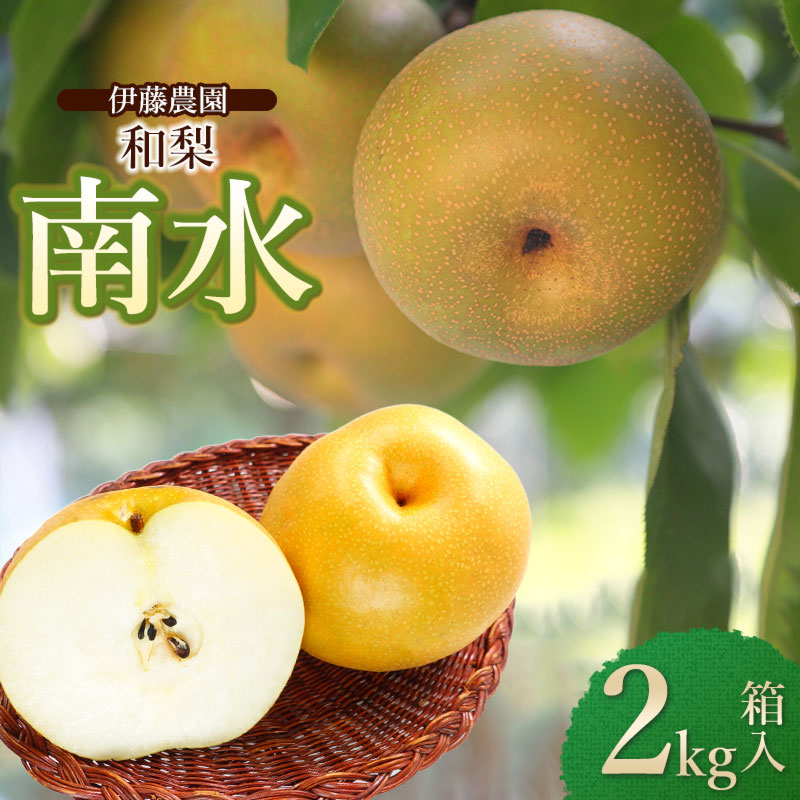 【ふるさと納税】【令和7年産先行予約】南水（和梨） 約2kg箱入（7～9個）　山形県鶴岡市産