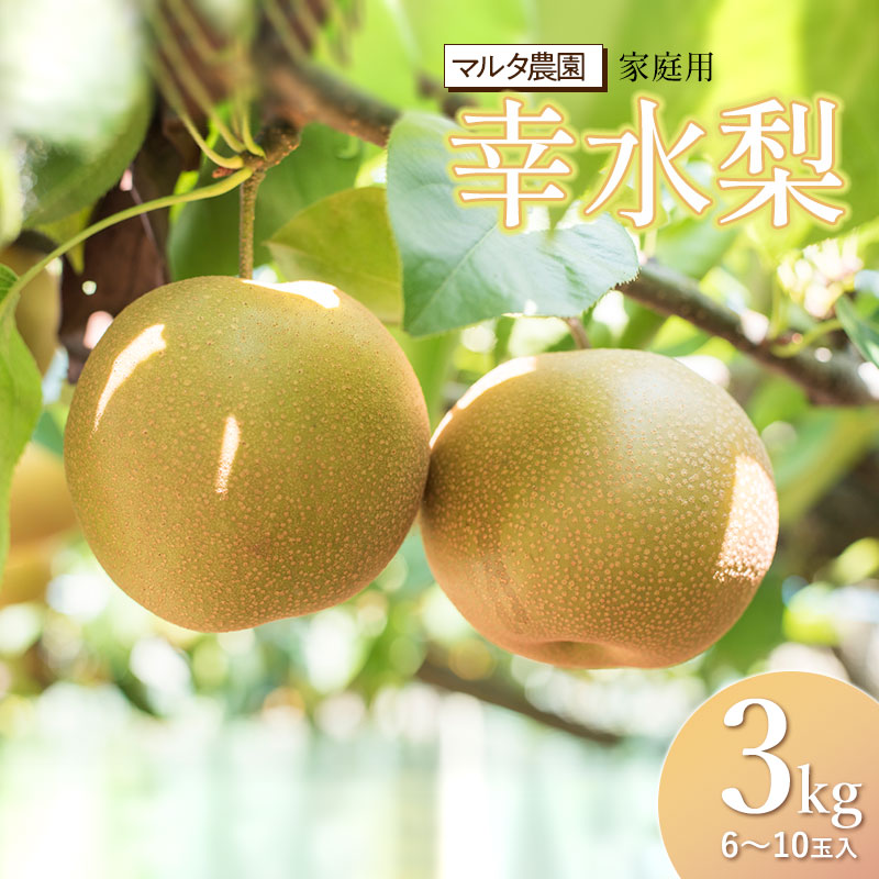 【ふるさと納税】【令和7年産先行予約】 家庭用　幸水梨 3kg（6～10玉）　マルタ農園