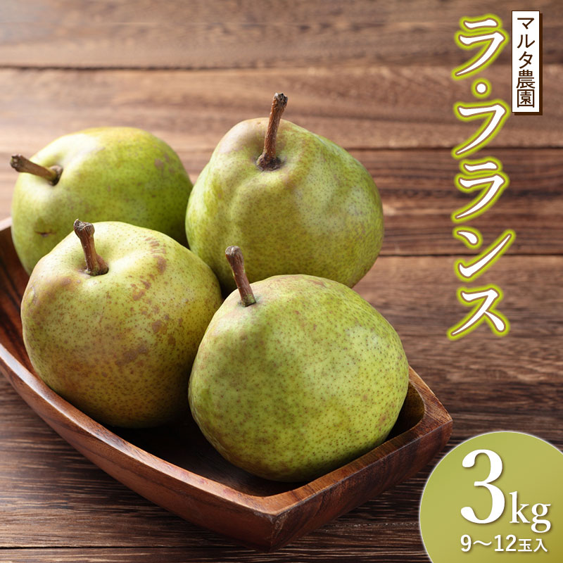 【ふるさと納税】令和8年産先行予約 ラ・フランス（洋梨）　3kg（9～12玉）　山形県鶴岡市産　マルタ農園