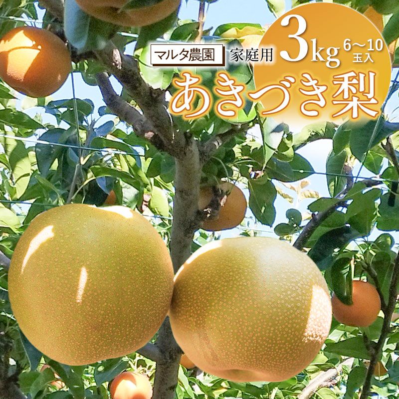 【ふるさと納税】【令和7年産先行予約】 家庭用　和梨 あきづき 3kg（6～10玉）　マルタ農園