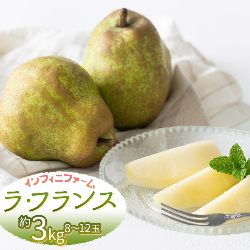 【ふるさと納税】【令和7年産先行予約】鶴岡市産洋梨 ラ・フランス 約3kg（8～12玉）　インフィニファーム　K-728