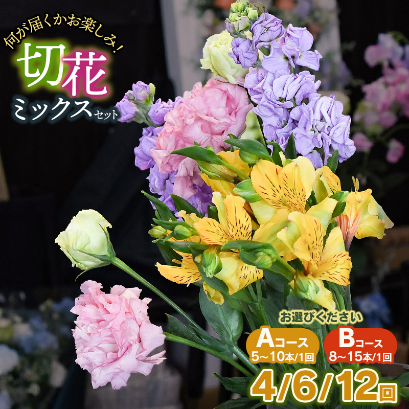 【ふるさと納税】何が届くかお楽しみ★鶴岡産切花ミックスセット　お選びください［Aコース(5～10本) / Bコース(8～15本)］［お届け回数：4・6・12回］　花蔵（HANAZO）　　K-733・K-756｜山形県鶴岡市