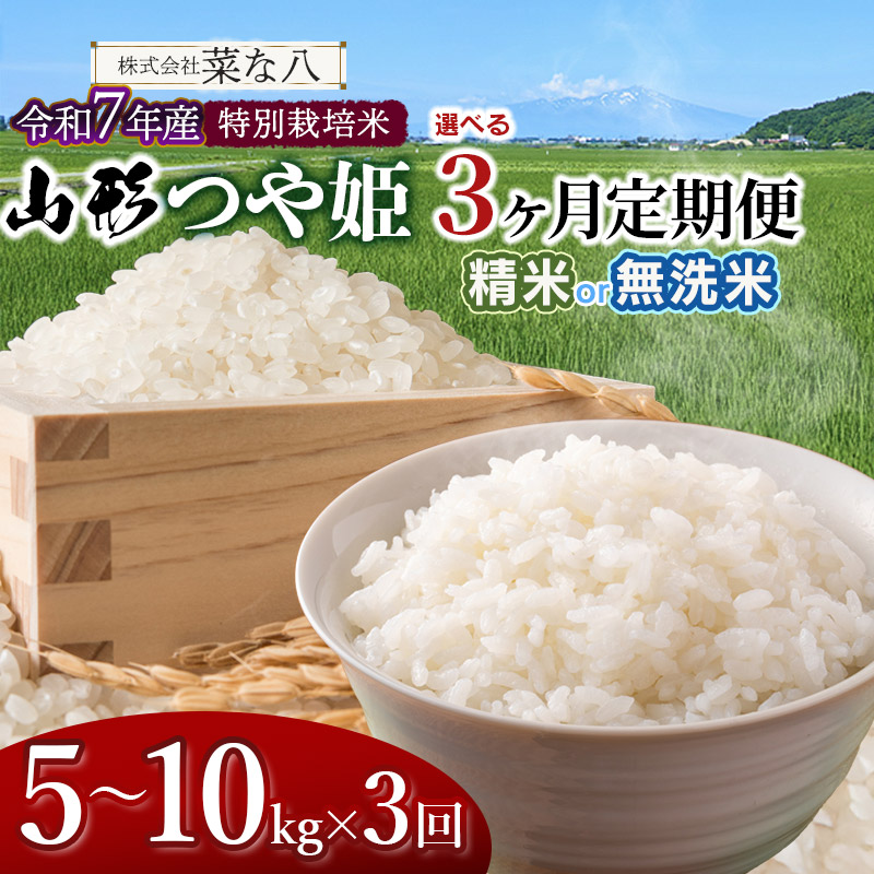 【ふるさと納税】【定期便】令和7年産　特別栽培米 山形つや姫　お選びください［5kg～10kg／精米・無洗米］×3ヶ月 ごはんソムリエ監修　一等米　2025年