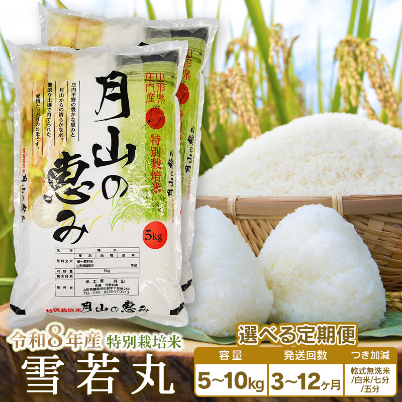 【ふるさと納税】【令和8年産先行予約】定期便　特別栽培米 雪若丸 選べる容量（5kg・10kg）・発送回数（3・6・12回） 毎月1回中旬発送 | 山形県 鶴岡市 無洗米 精米 白米 7分 5分つき ブランド米 特産品 お取り寄せ お米 おこめ｜山形県鶴岡市