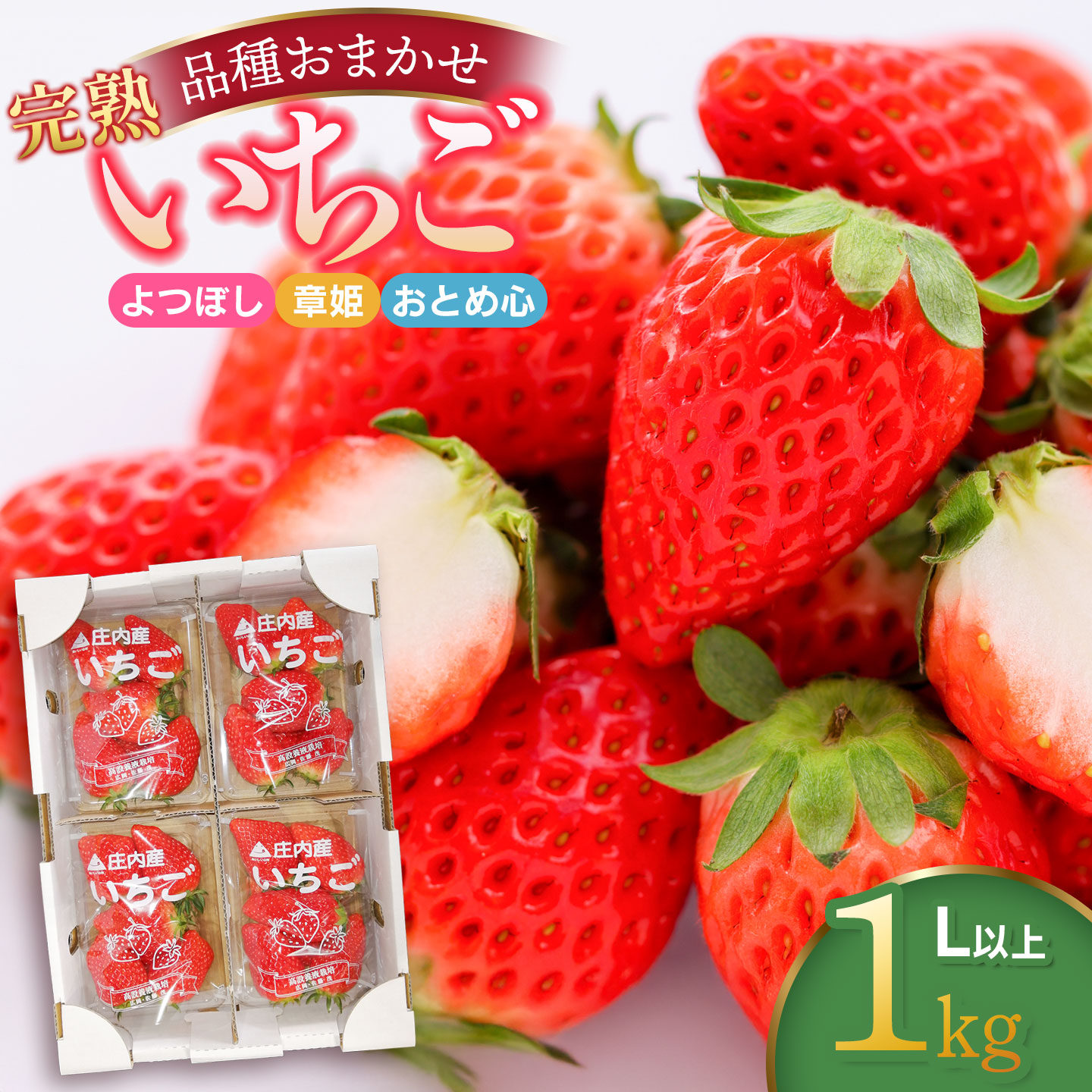 【ふるさと納税】令和8年産　完熟いちご詰め合わせ（品種おまかせ） 1kg Lサイズ以上　よつぼし・章姫・おとめ心　 庄内産 鶴岡中央青果　| 苺 山形県 鶴岡市 あきひめ 甘味 酸味