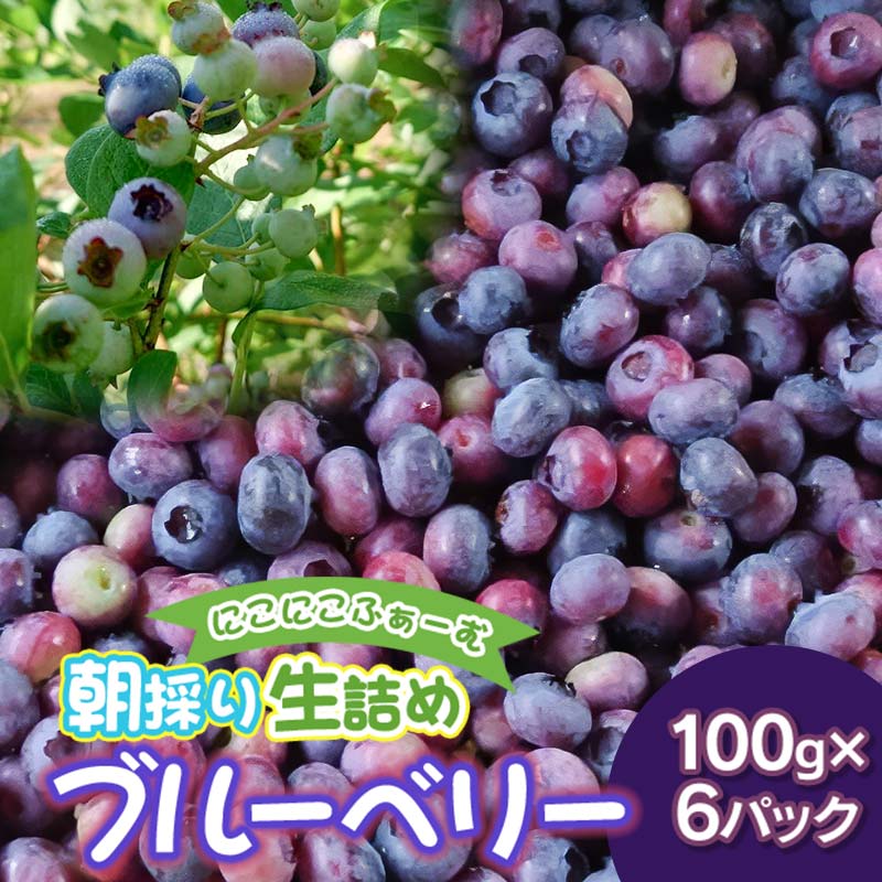 【ふるさと納税】【令和7年産先行予約】にこにこふぁーむの朝採り生詰めブルーベリー100g×6パック　K-739