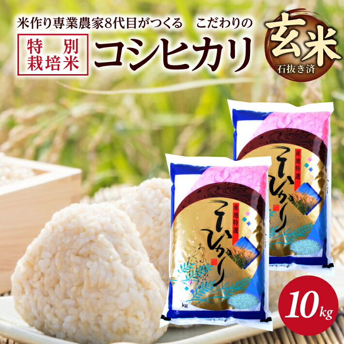 【ふるさと納税】≪新米予約≫ 玄米 特別栽培米 コシヒカリ 計10kg 5kg&times;2袋 令和8年産米 山形県産 ご希望時期頃お届け 米 庄内米 ごはん ご飯 農家直送 産地直送 東北 山形県 酒田市 庄内 発送時期が選べる｜山形県酒田市