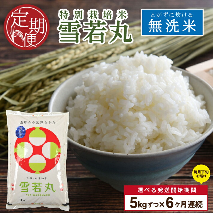 【ふるさと納税】≪新米予約≫ ≪6ヶ月定期便≫ 無洗米 特別栽培米 雪若丸 5kg×6ヶ月 計30kg 山形県産 ご希望期間の毎月下旬頃お届け 米 白米 庄内米 ブランド米 ごはん ご飯 農家直送 産地直送 東北 山形県 酒田市 庄内 発送時期が選べる
