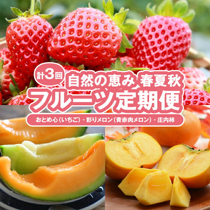 【ふるさと納税】≪3回定期便≫ 自然の恵み 春・夏・秋フルーツ定期便(2)2026 4月下旬～5月下旬「おとめ心(いちご)」 7月上旬～7月下旬「彩りメロン(青肉・赤肉)」 10月中旬～11月下旬「庄内柿」 計3回 山形県酒田産 ※着日指定・離島発送不可 頒布会 イチゴ カキ 春 夏 秋