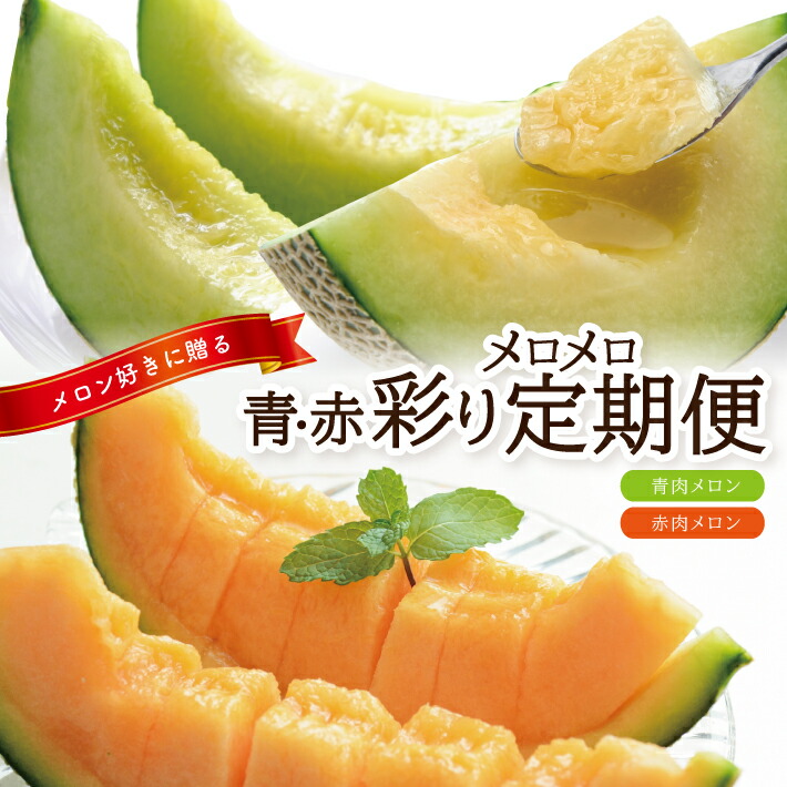 【ふるさと納税】≪2回定期便≫ メロン好きに贈る 青・赤彩りメロメロ定期便2025 6月下旬～7月上旬「庄内青肉メロン 約5kg（4～5玉）」 7月中旬～7月下旬「庄内赤肉メロン 約5kg（4～5玉）」 計2回  山形県酒田産 ※着日指定不可 頒布会 食べ比べ 庄内砂丘 酒田 夏 旬