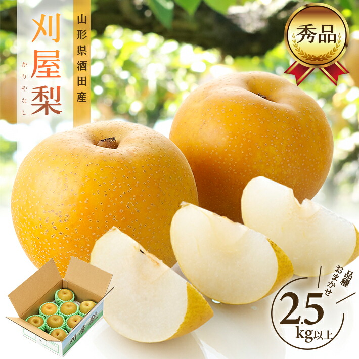 【ふるさと納税】酒田の美味しい刈屋梨 秀品 2.5kg以上 6～9玉 8月下旬～9月下旬頃お届け ※着日指定不可 刈屋梨 和梨 梨 なし 果物 くだもの フルーツ 夏 秋 旬 酒田 庄内 刈屋
